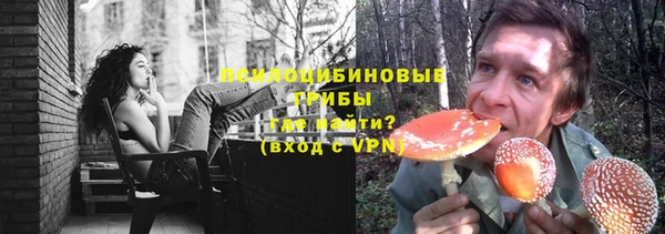 таблы Бородино