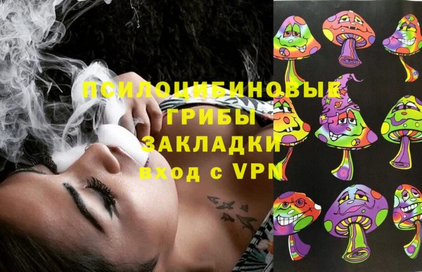 ПСИЛОЦИБИНОВЫЕ ГРИБЫ Бугульма