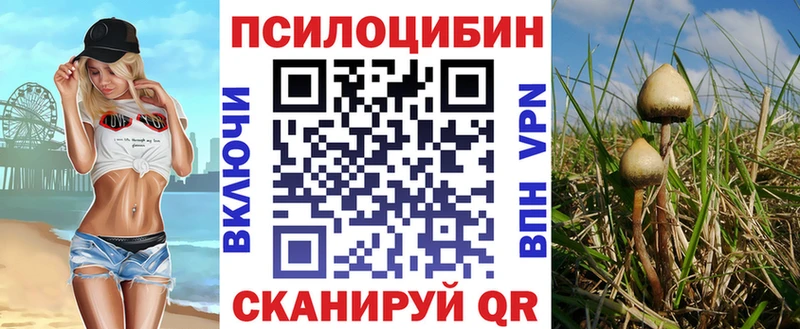 Галлюциногенные грибы Cubensis продажа наркотиков Гремячинск